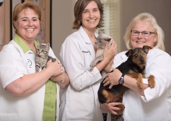 Falls Village Vet pet friendly vets in Raleigh North Carolina